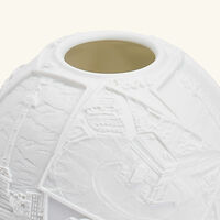 برناردو مصباح ليثوفاني بليسس أوف باريس