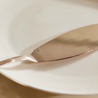 Albi Fish Serving Knife Silver Plated christofle albi fish serving knife silver plated