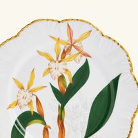 pinto paris histoires d orchidees dinner plate round green 26cm