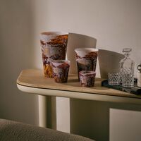 baobab collection sacred trees massasso candle max 10