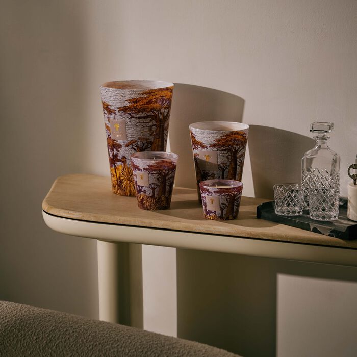 baobab collection sacred trees massasso candle max 10