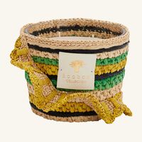 baobab collection fety milalao candle max 10