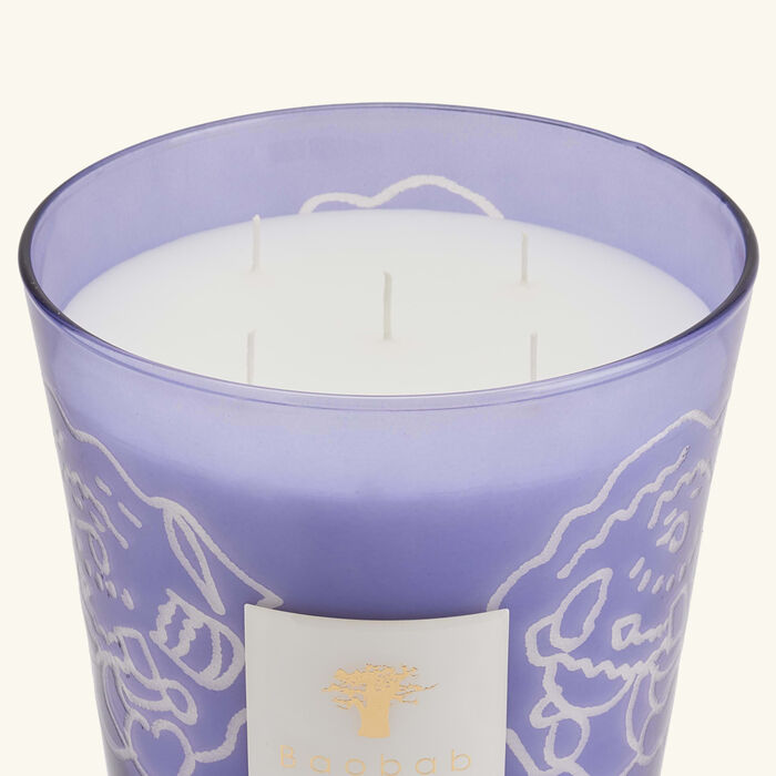 baobab collection collectible roses dark parma candle max 24