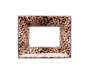 Jaguar Vide Poche Rectangular Jaguar Vide Poche Rectangular, small
