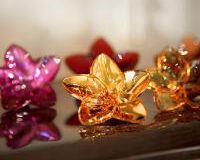 The Bloom Collection The Bloom Collection, small