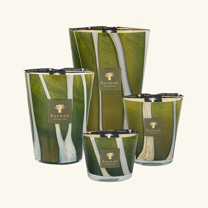 baobab collection woods sherwood candle