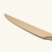 l  ame de christofle steak knife gold