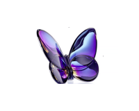 الفراشة المحظوظة الفراشة المحظوظة, small