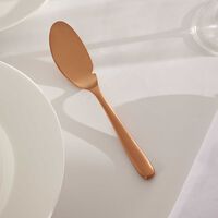 كريستوفل سكين السمك لام دو فيش وردي