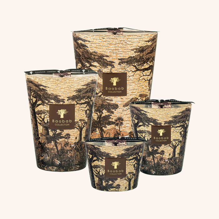 baobab collection sacred trees mankono candle