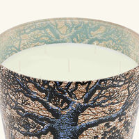 baobab collection sacred trees seguela candle maxi max