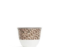 Jaguar  Arabic Cup, small