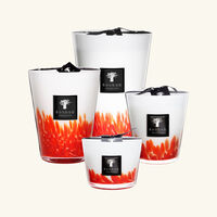 baobab collection feathers masaai candle max 24