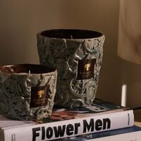 باوباب شمعة برام سيلفانوس المعطرة ماكس 10