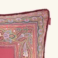 etro cachemire pillow