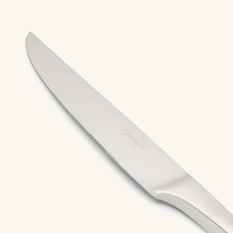 L'Ame De Christofle Steak Knife Stainless Steel l ame de christofle steak knife stainless steel