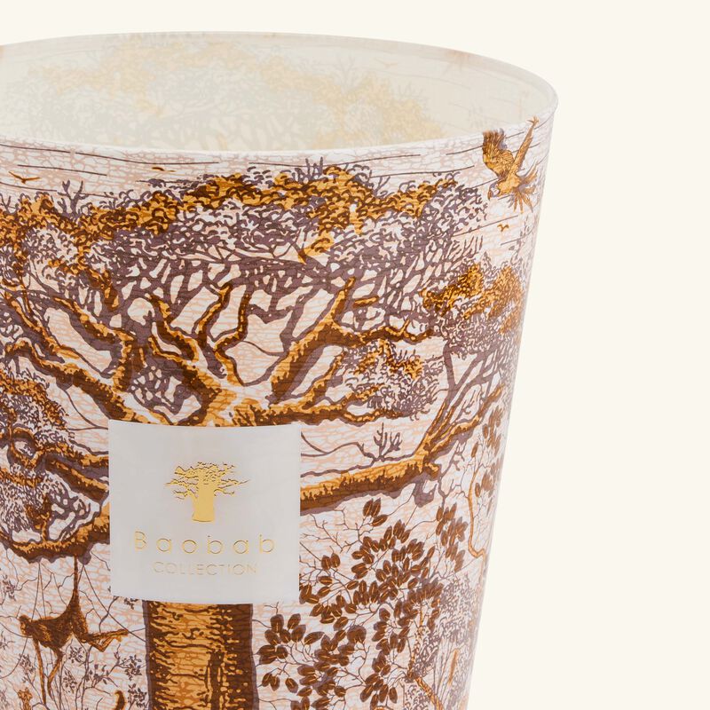 baobab collection sacred trees dualla candle maxi max