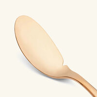 كريستوفل سكين السمك لام دو فيش وردي