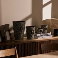 baobab collection brame sylvanus candle max 35