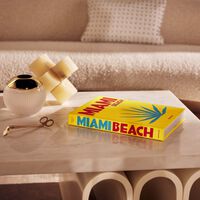 assouline miami beach book 33x25cm