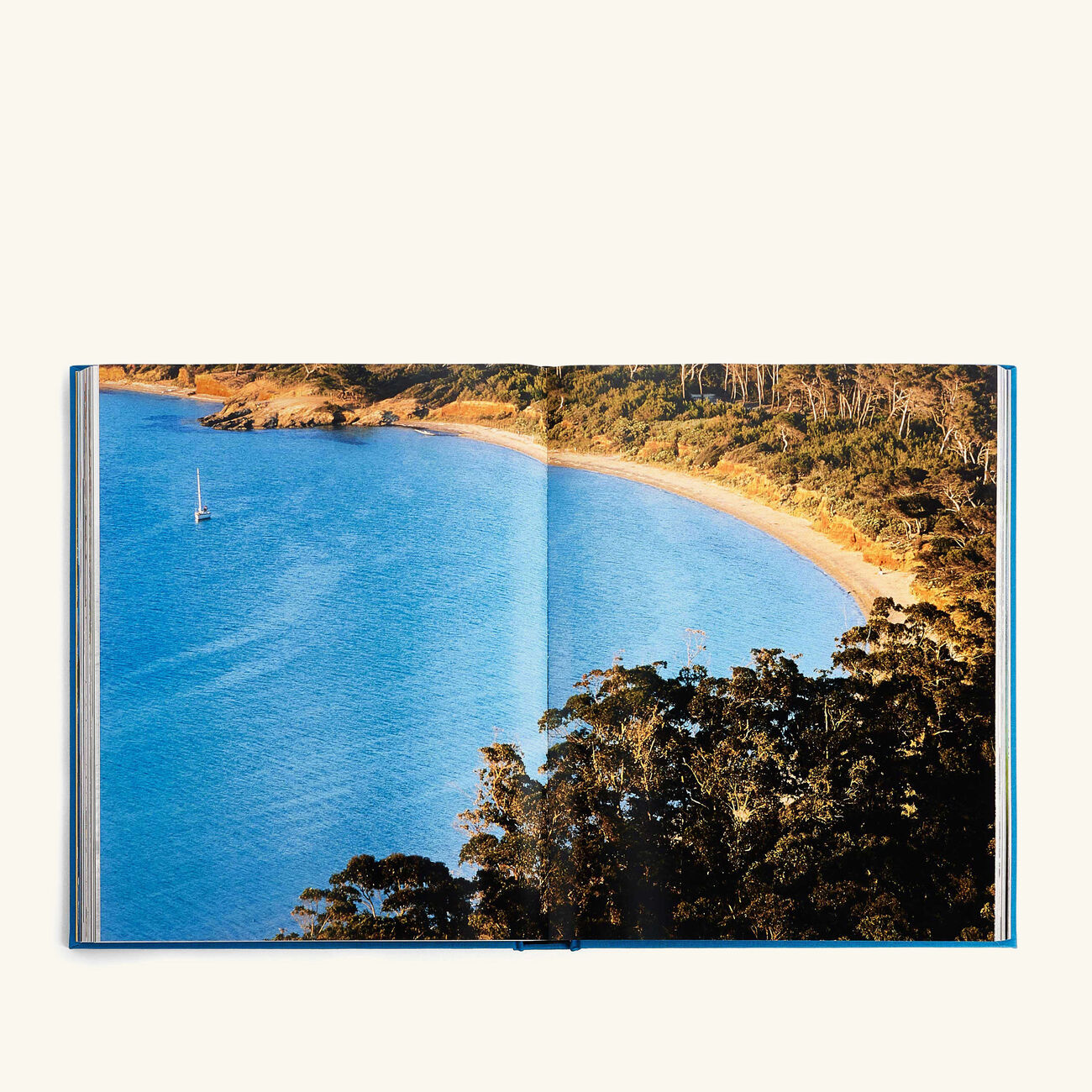 assouline the french riviera in the 1920s book 36x28cm