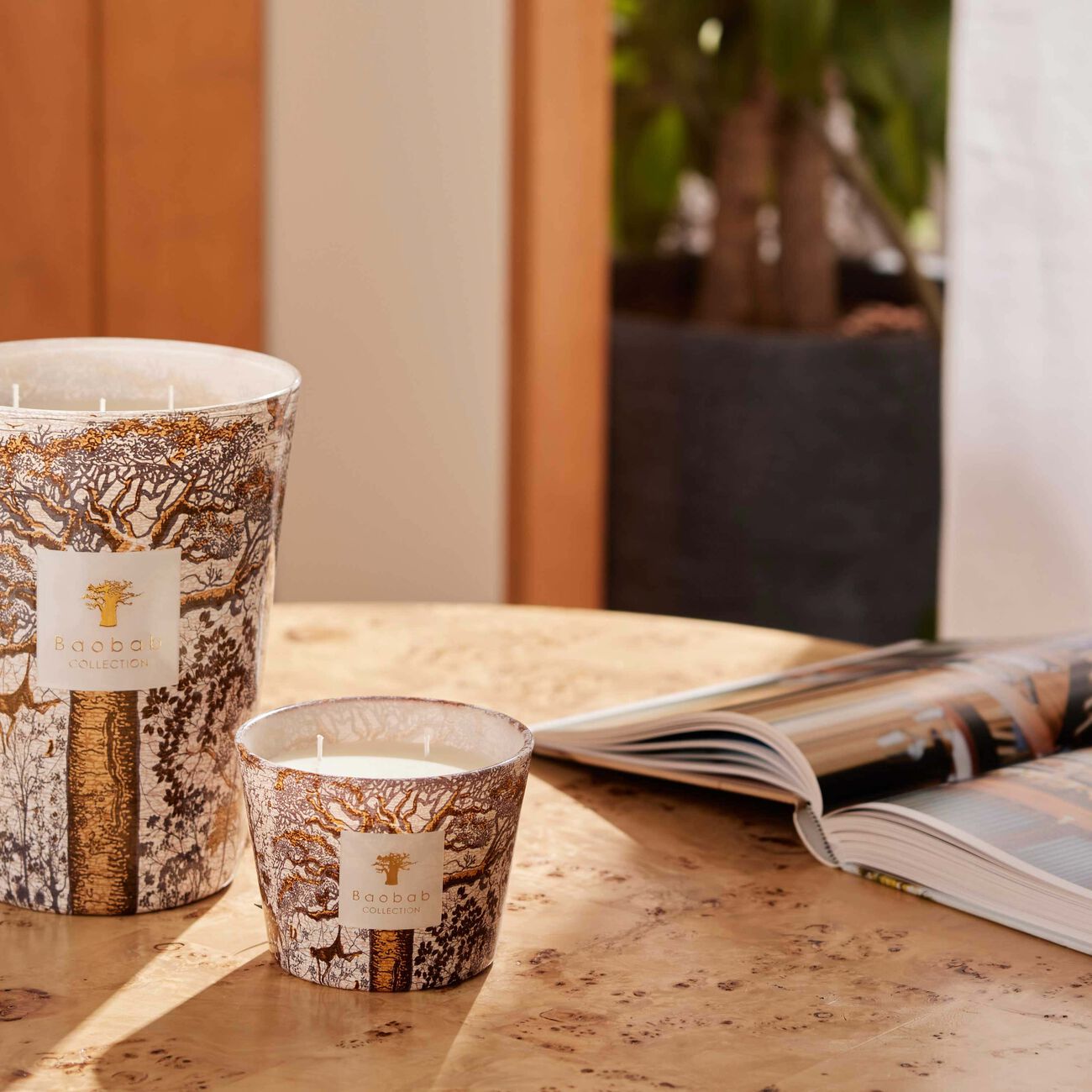 باوباب شمعة سيكرد تريز دوالا ماكس 10