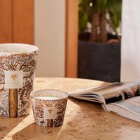 باوباب شمعة سيكرد تريز دوالا ماكس 10