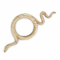 Snake Large Magnifying Glass, small