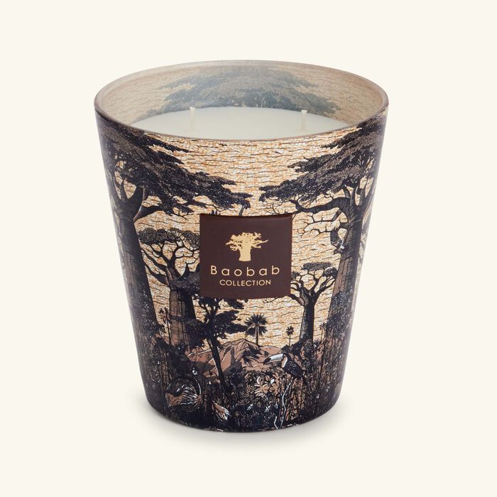 baobab collection sacred trees mankono candle max 16