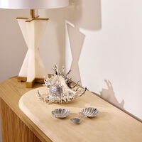 وعاء على شكل صدفة فينوس بحجم صغير بوتشيلاتي وعاء على شكل صدفة فينوس بحجم صغير