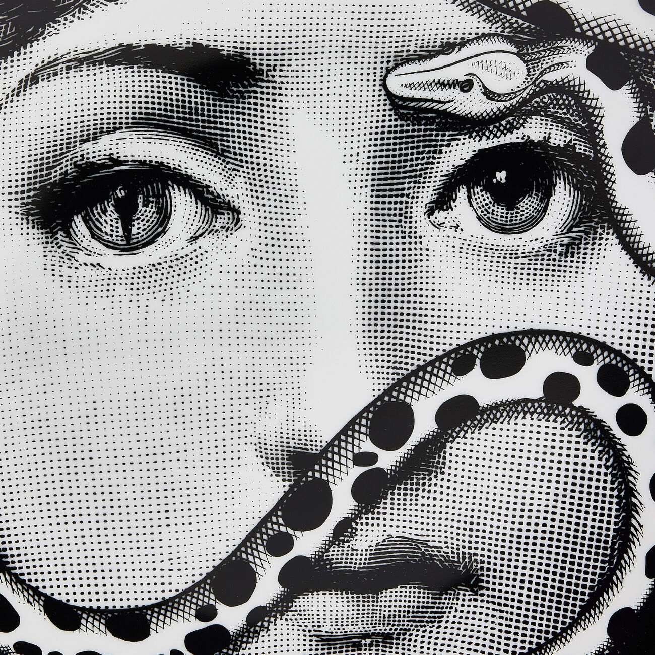 Tema e Variazioni no.383 Wall Plate fornasetti tema e variazioni no 383 wall plate