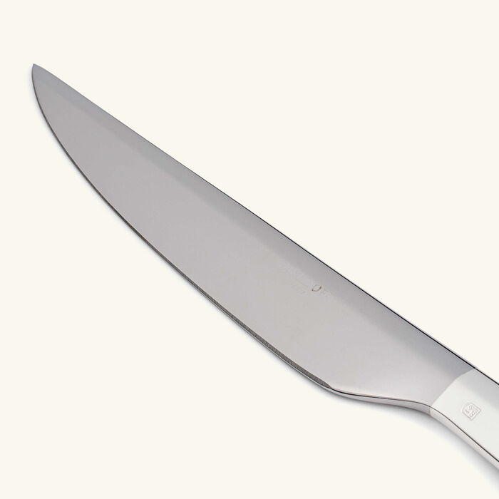 كريستوفل سكين إنفيني متعدد الاستخدامات متوسط باللون الفضي