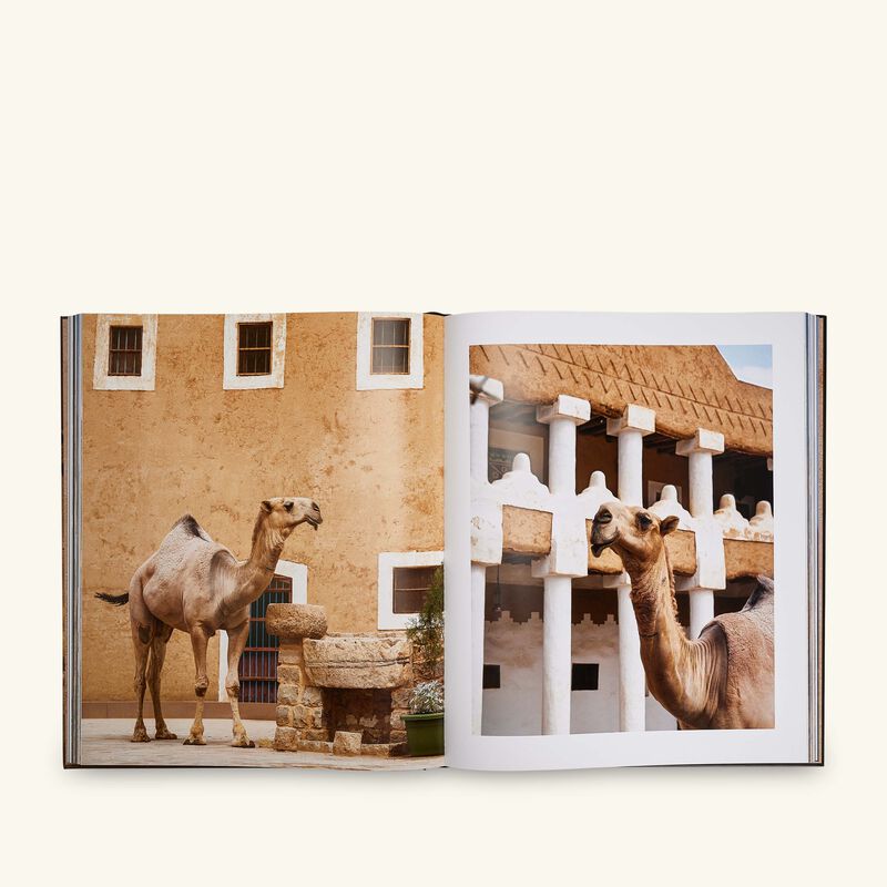 كتاب روعة الصحراء جمال الإبل السعودية - 48 × 41 سم 48 41