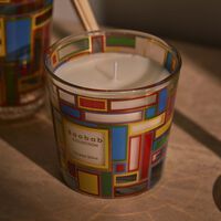 baobab collection my first baobab   ocean drive giftbox