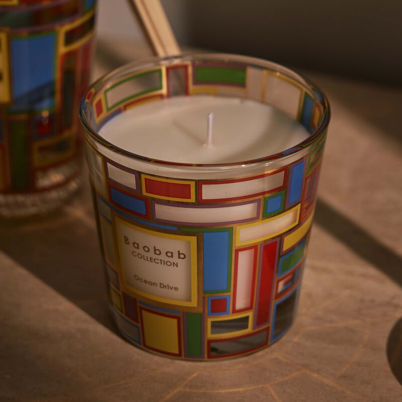 baobab collection my first baobab   ocean drive giftbox