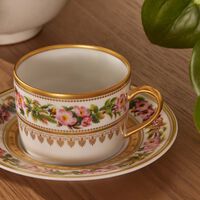 Botanique Tea Cup & Saucer Gold bernardaud botanique tea cup saucer gold