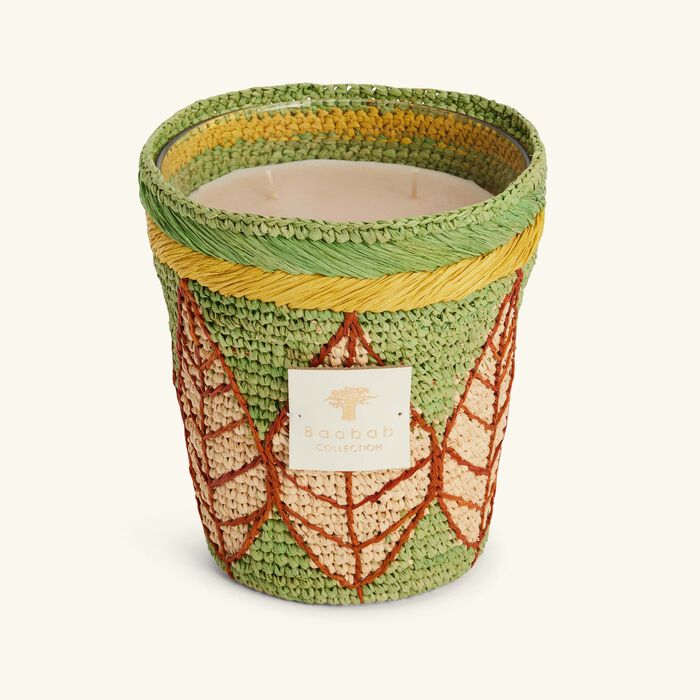 baobab collection ravintsara hanitra candle max 16