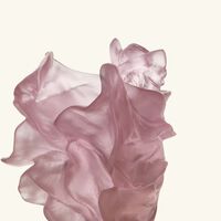 daum poetic by tamara ralph vase small pink limited edition