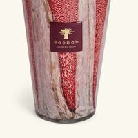 baobab collection woods risoud diffuser 5l