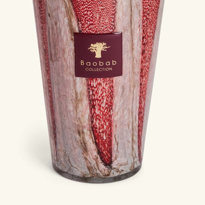baobab collection woods risoud diffuser 5l