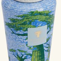 baobab collection sacred trees yarani diffuser 500ml