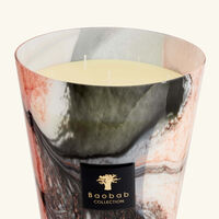 baobab collection sacred trees kani candle max 24