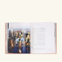 assouline new york by new york book 33x25cm