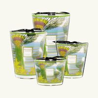 baobab collection cities singapore candle maxi max