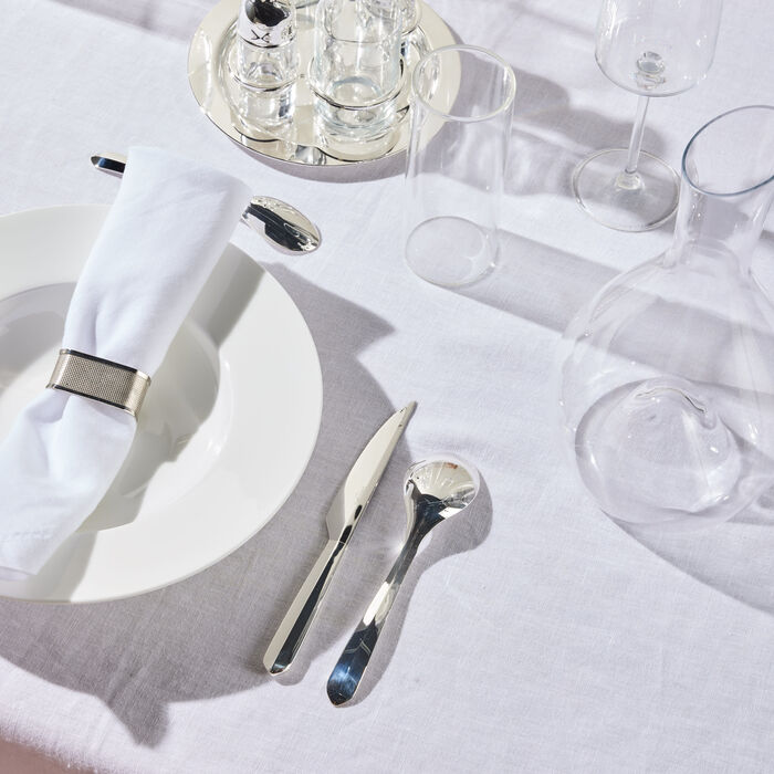 كريستوفل سكين إنفيني متعدد الاستخدامات متوسط باللون الفضي