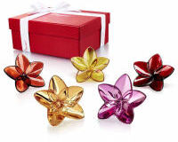 The Bloom Collection Flower Power The Bloom Collection Flower Power, small