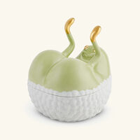 l objet haas butts up box green