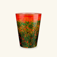 baobab collection poppies candles max 24