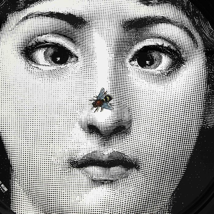 fornasetti tema e variazioni no 363 tray round large