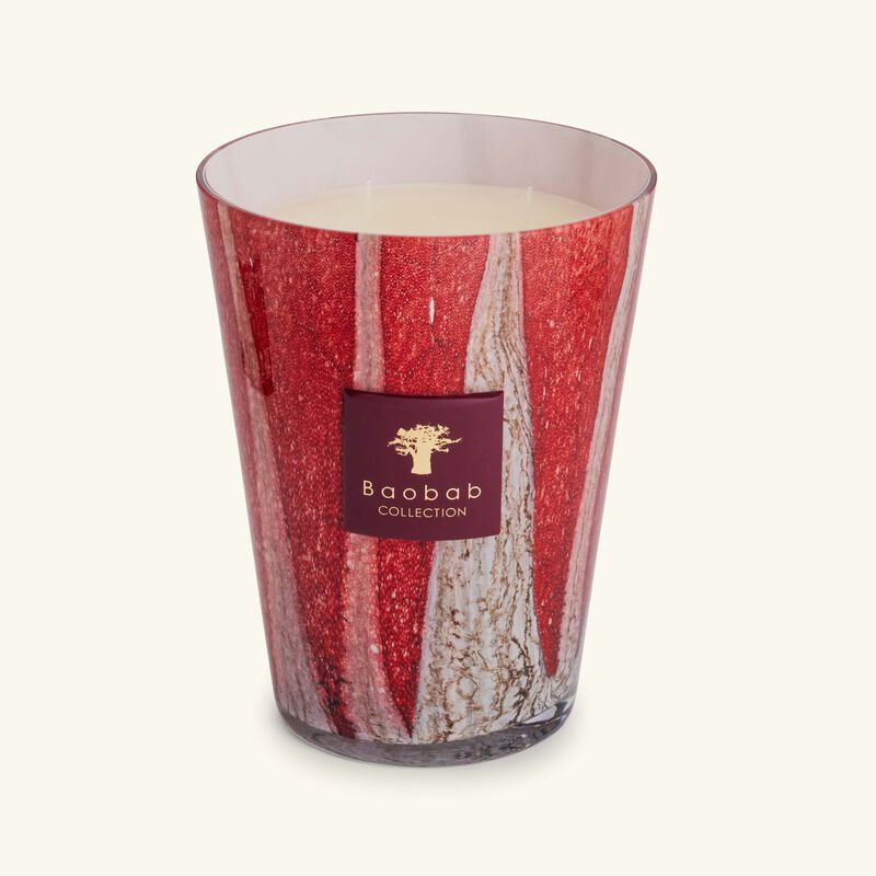 baobab collection woods risoud candle max 24